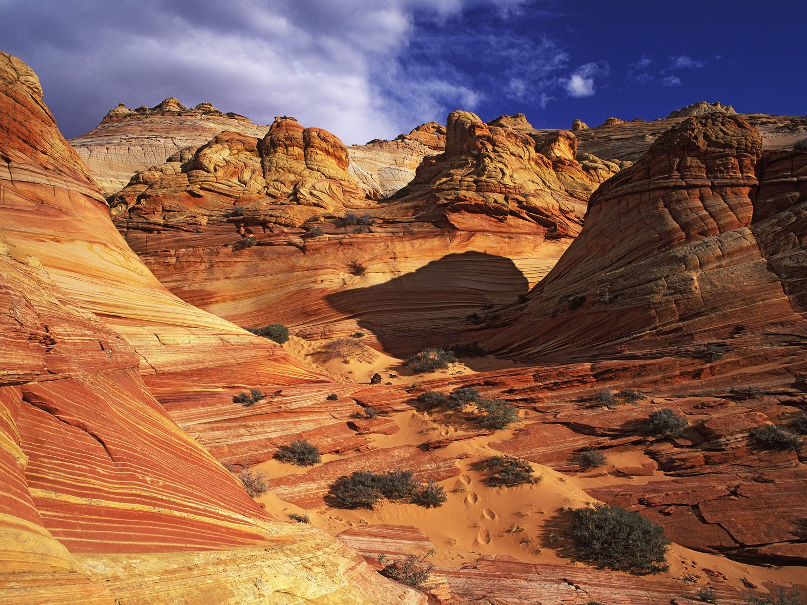 slickrock-formation--paria-canyon-vermillion-cliffs-wilderness-area--arizona