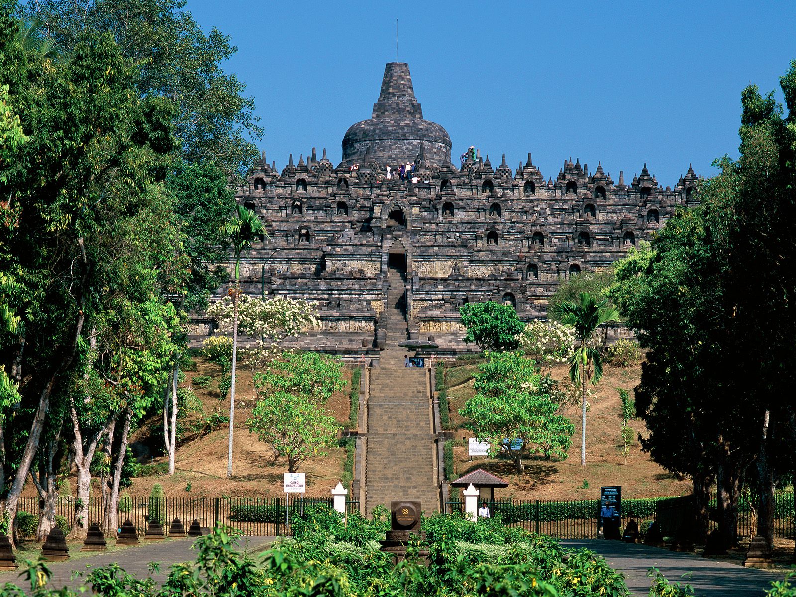 borobudur--java--indonesia