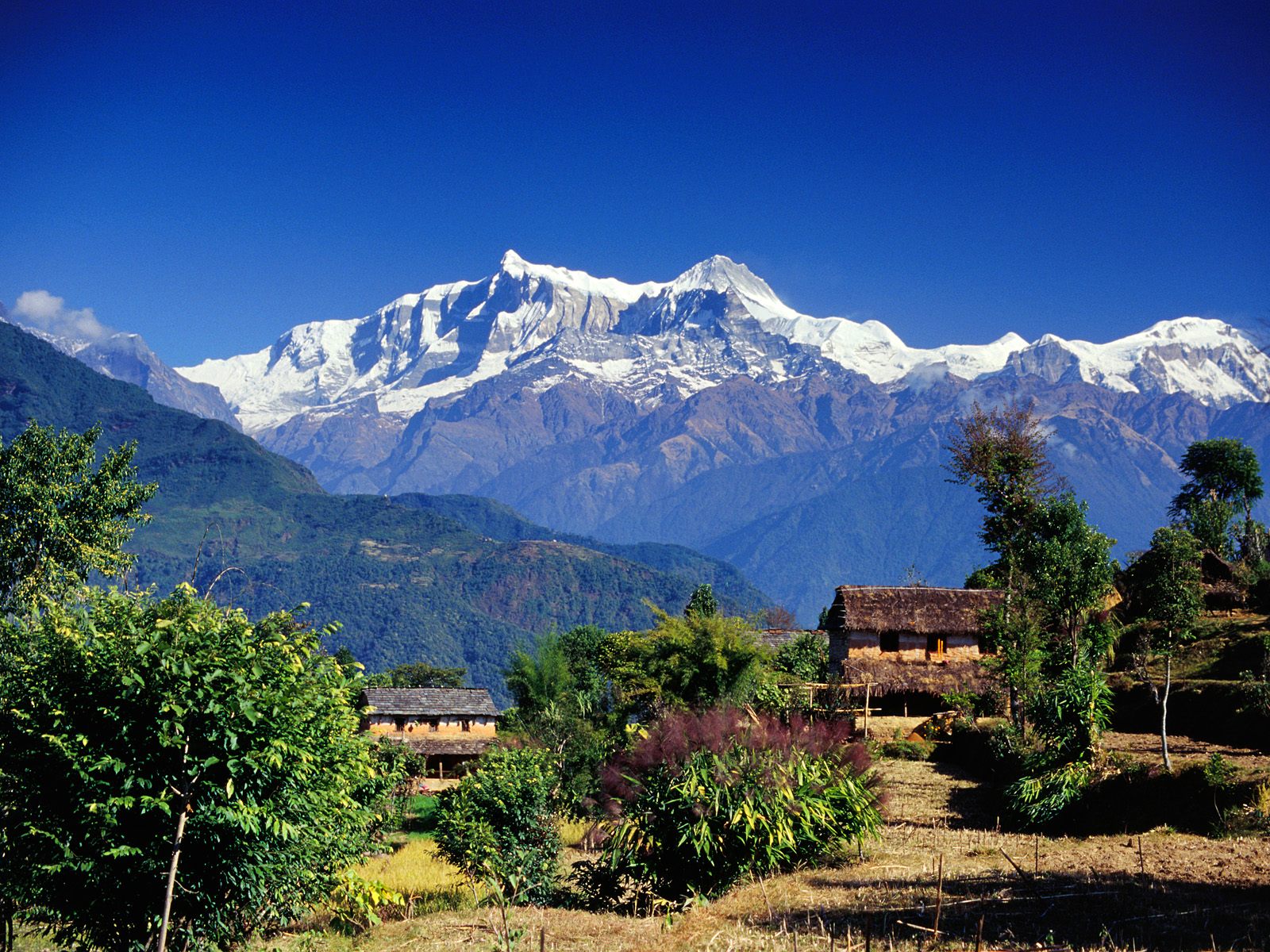 village-in-gandaki--annapurna-range--nepal