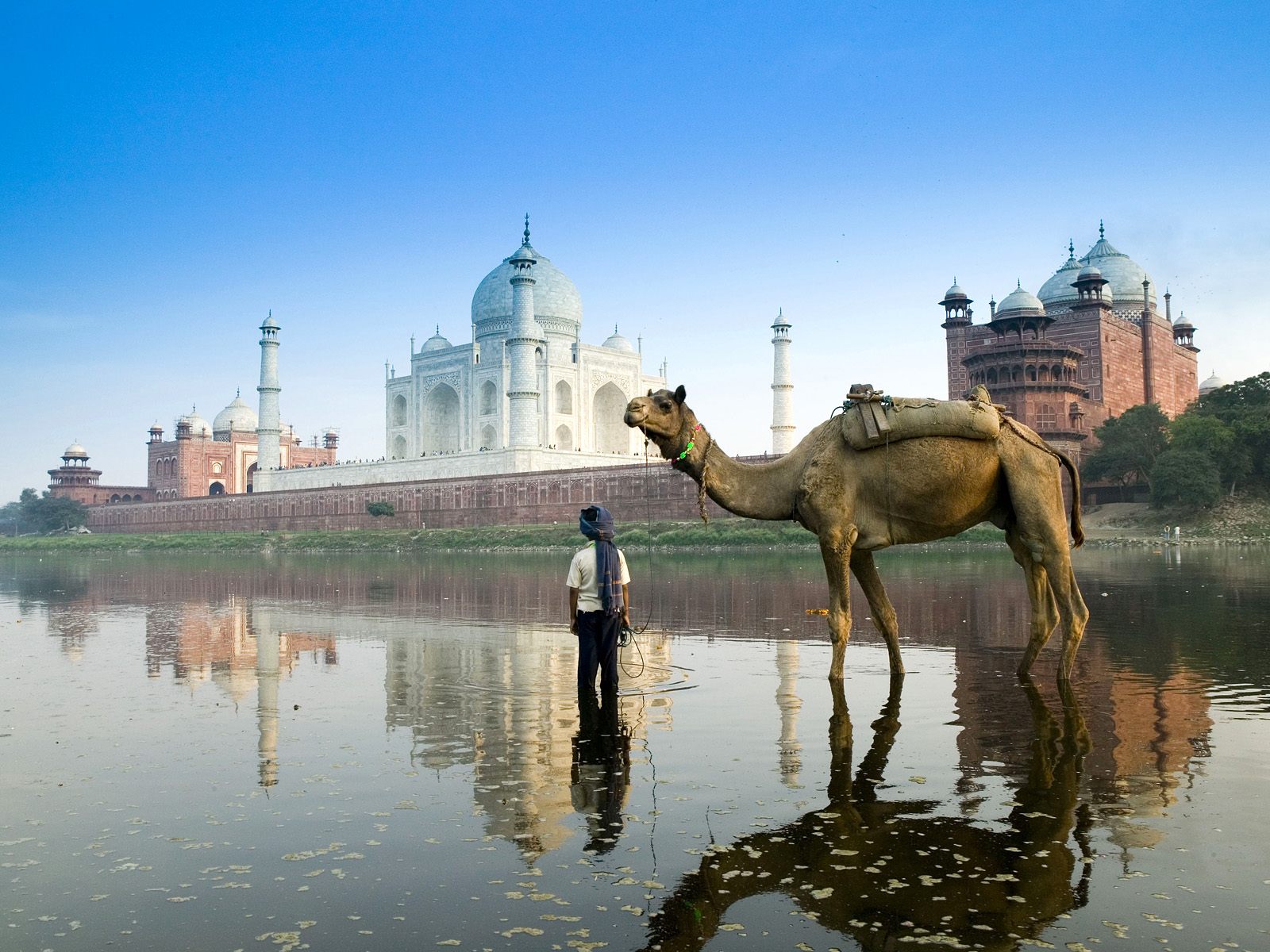 yamuna-river--agra--uttar-pradesh--india
