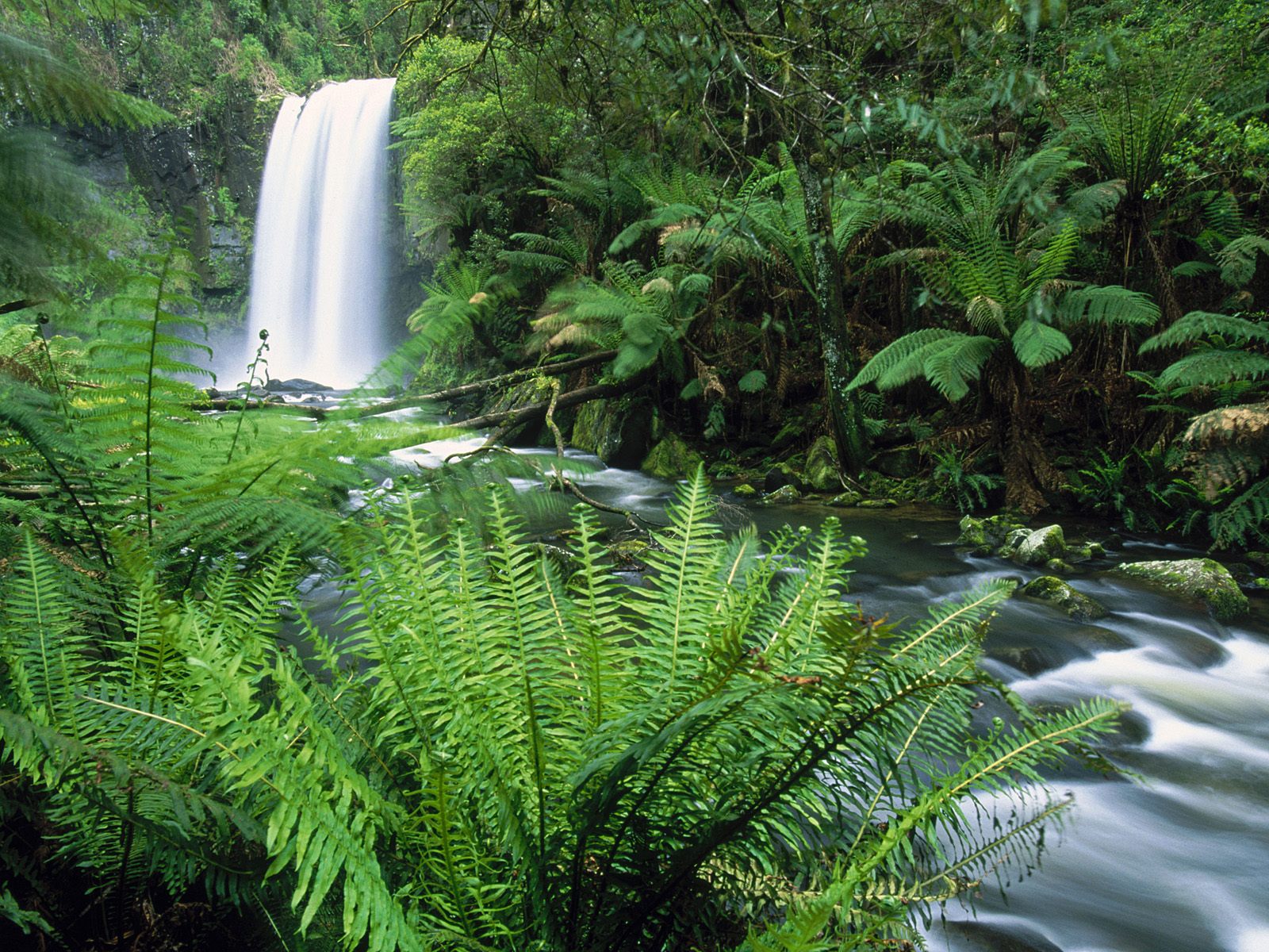 hopetoun-falls--otway-ranges--victoria--australia