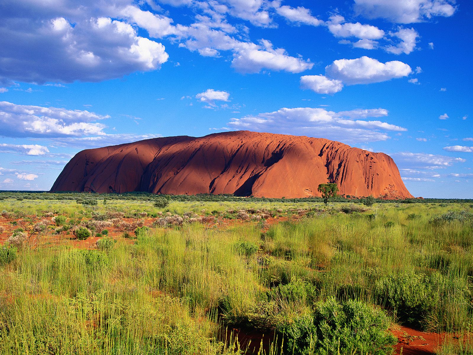 uluru-kata-tjuta-national-park--australia