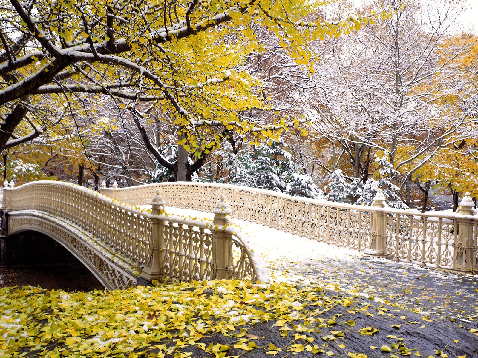 early-snowfall--central-park--new-york