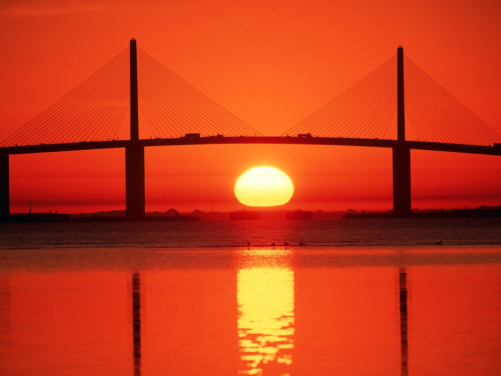 sunshine-skyway-bridge--tampa-bay--florida