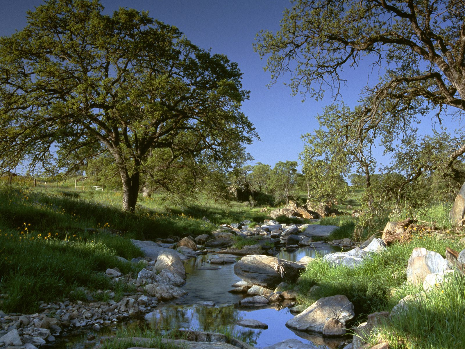 gold-country--california