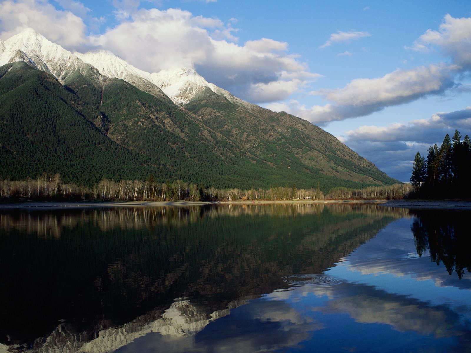peckham-s-lake--british-columbia--canada