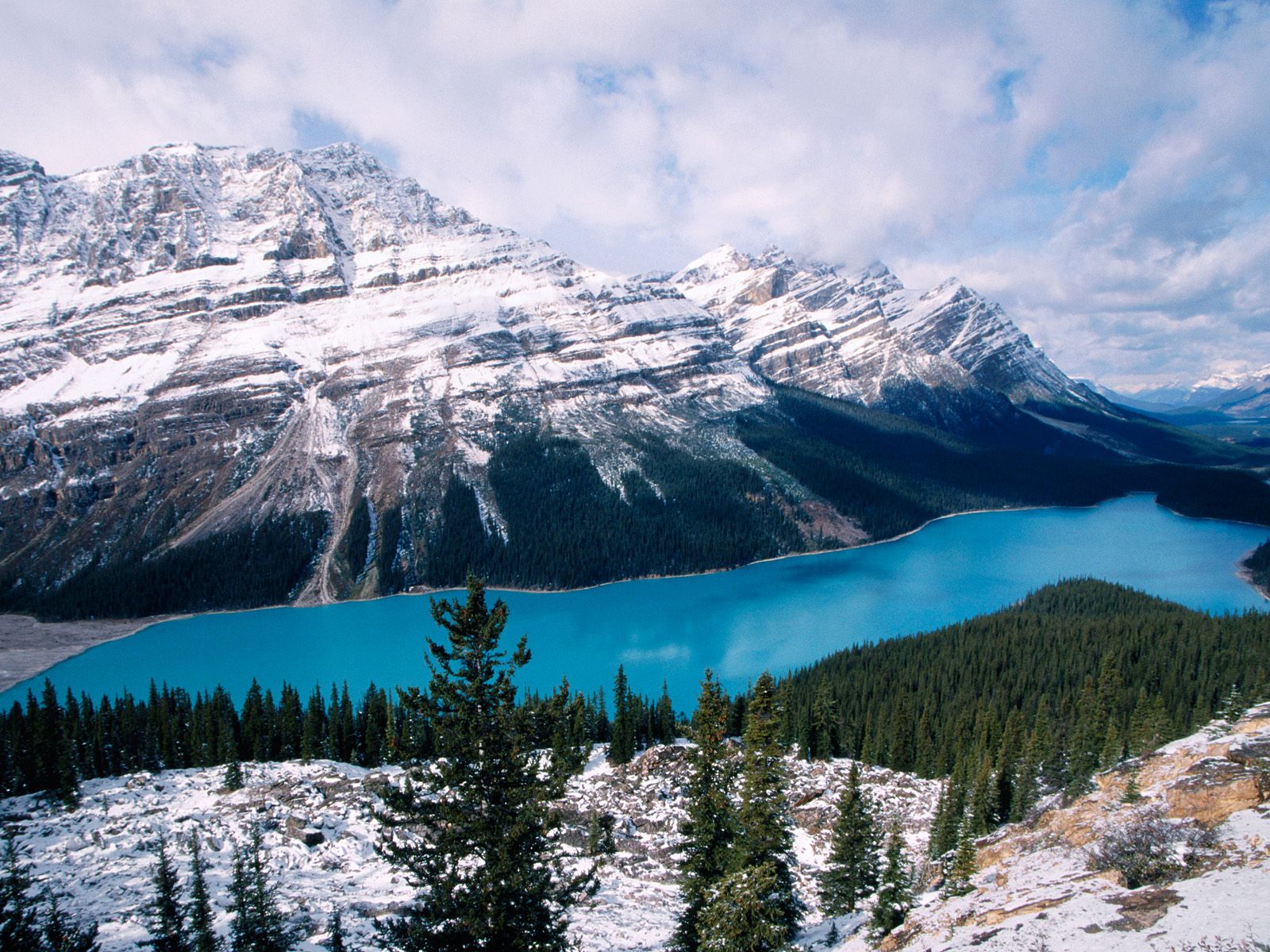 peyto-lake--banff-national-park--alberta--canada