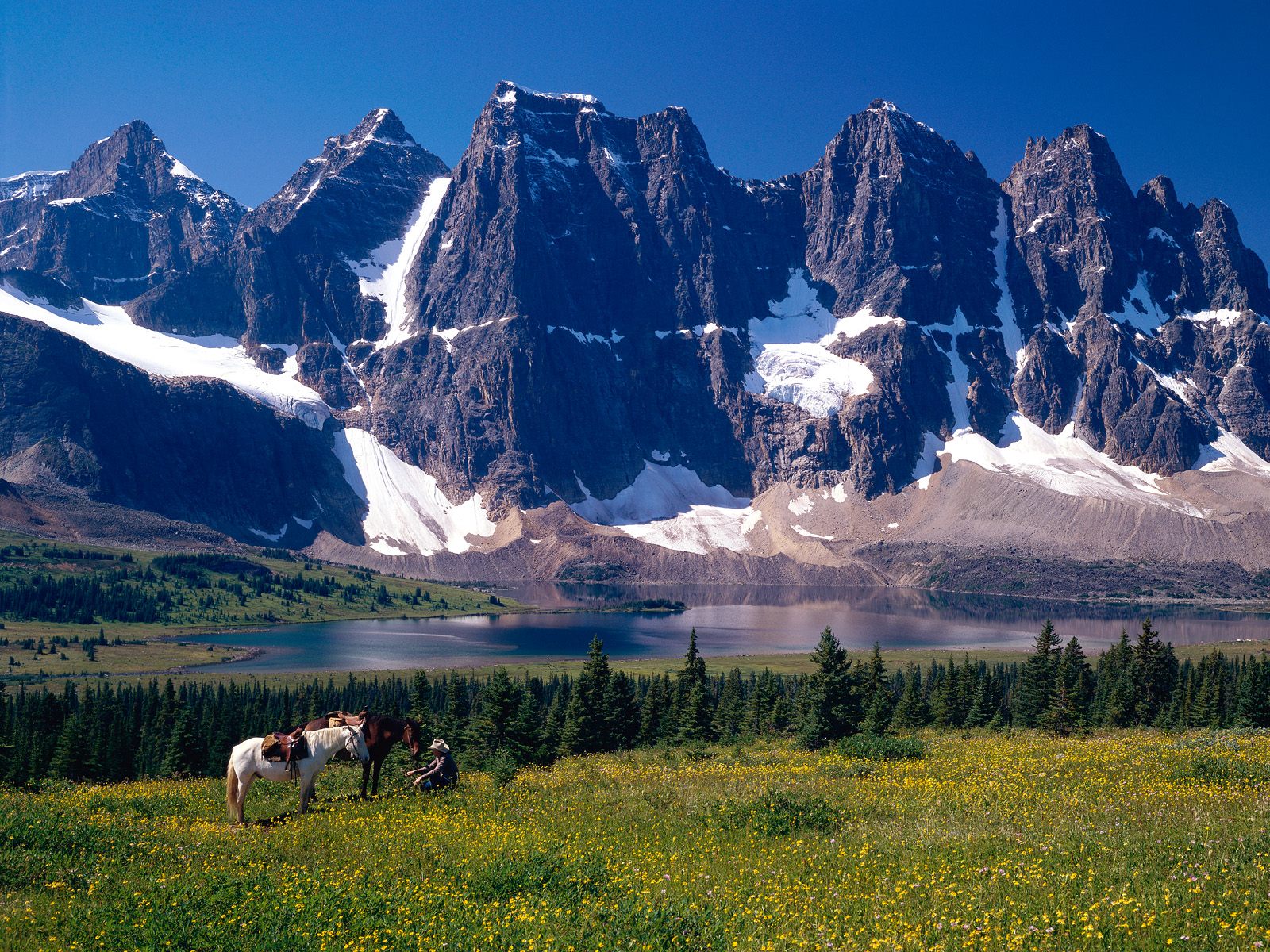 ramparts-and-amethyst-lake--jasper-national-park--alberta--canada