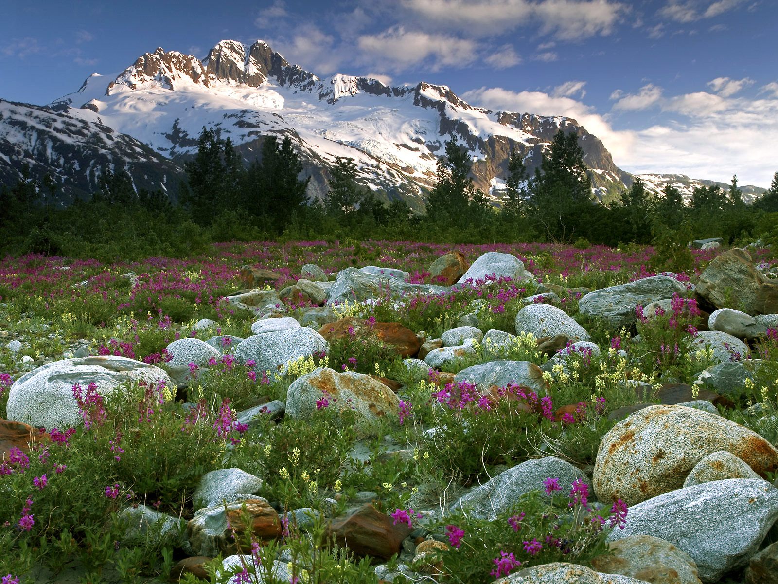 rock-garden--alsek-river--british-columbia--canada