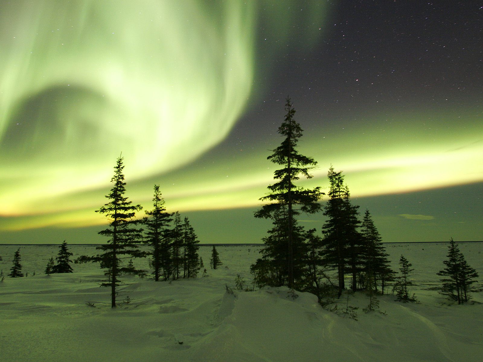 the-northern-lights-in-winter--churchill--manitoba--canada