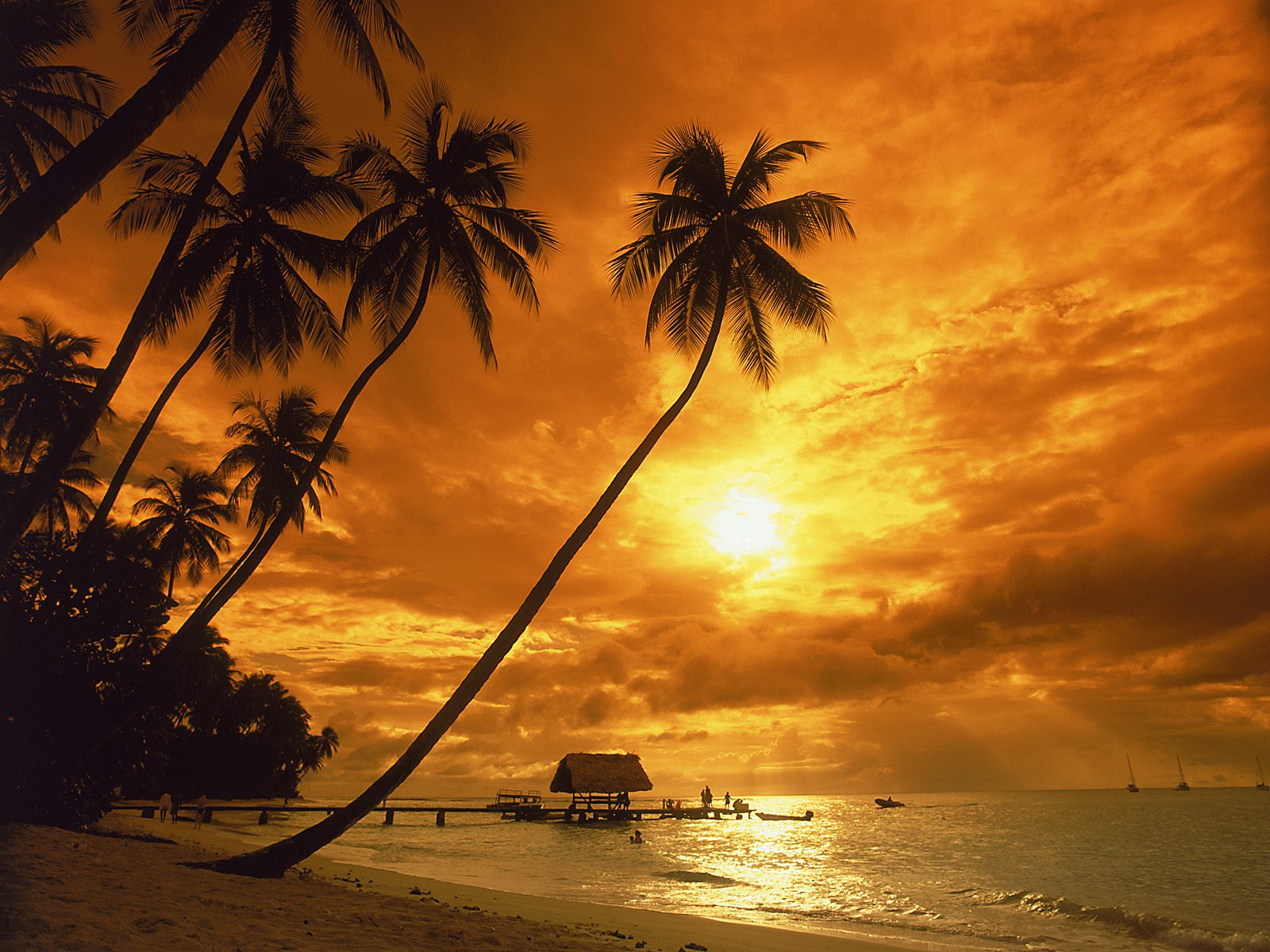 pigeon-point-at-sunset--tobago