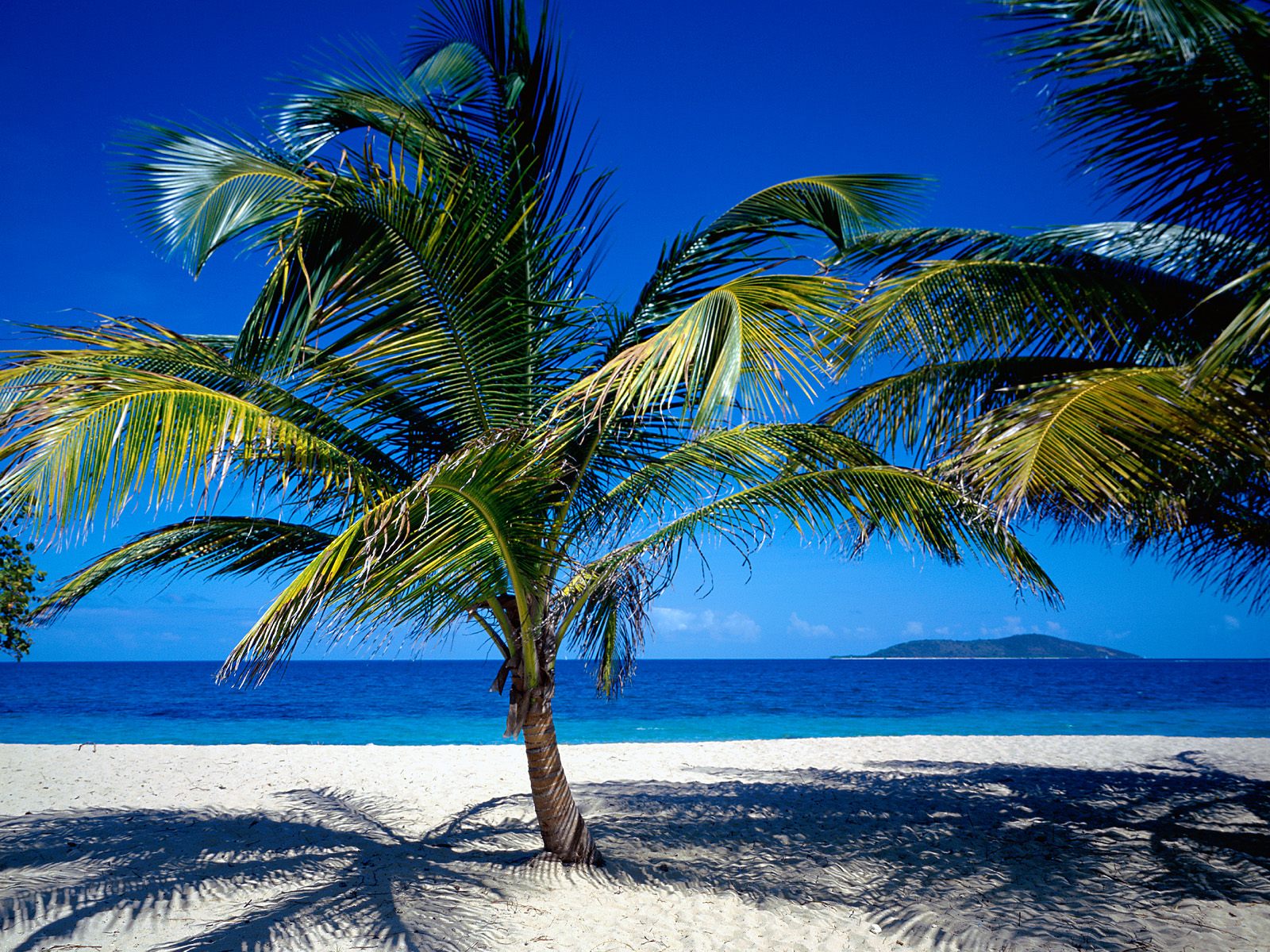 st.-croix--us-virgin-islands