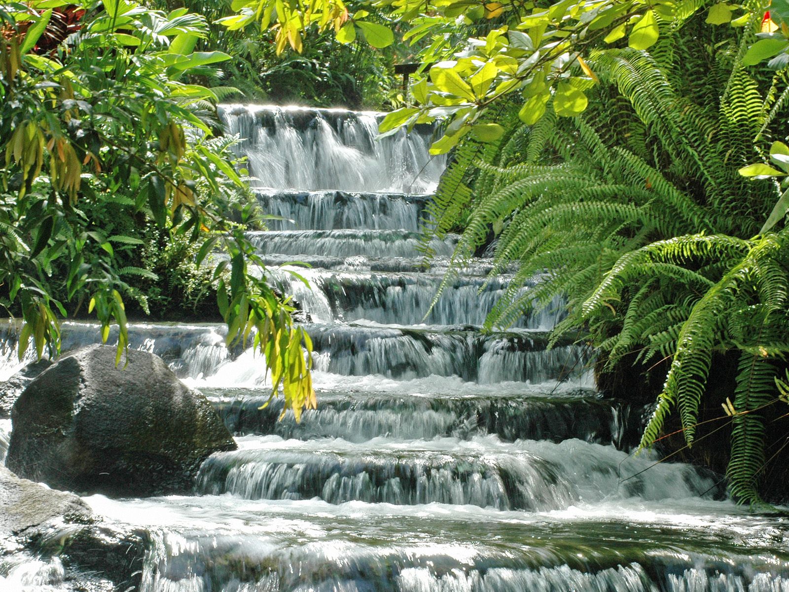 tabacon-hot-springs--arenal-volcano-national-park--costa-rica