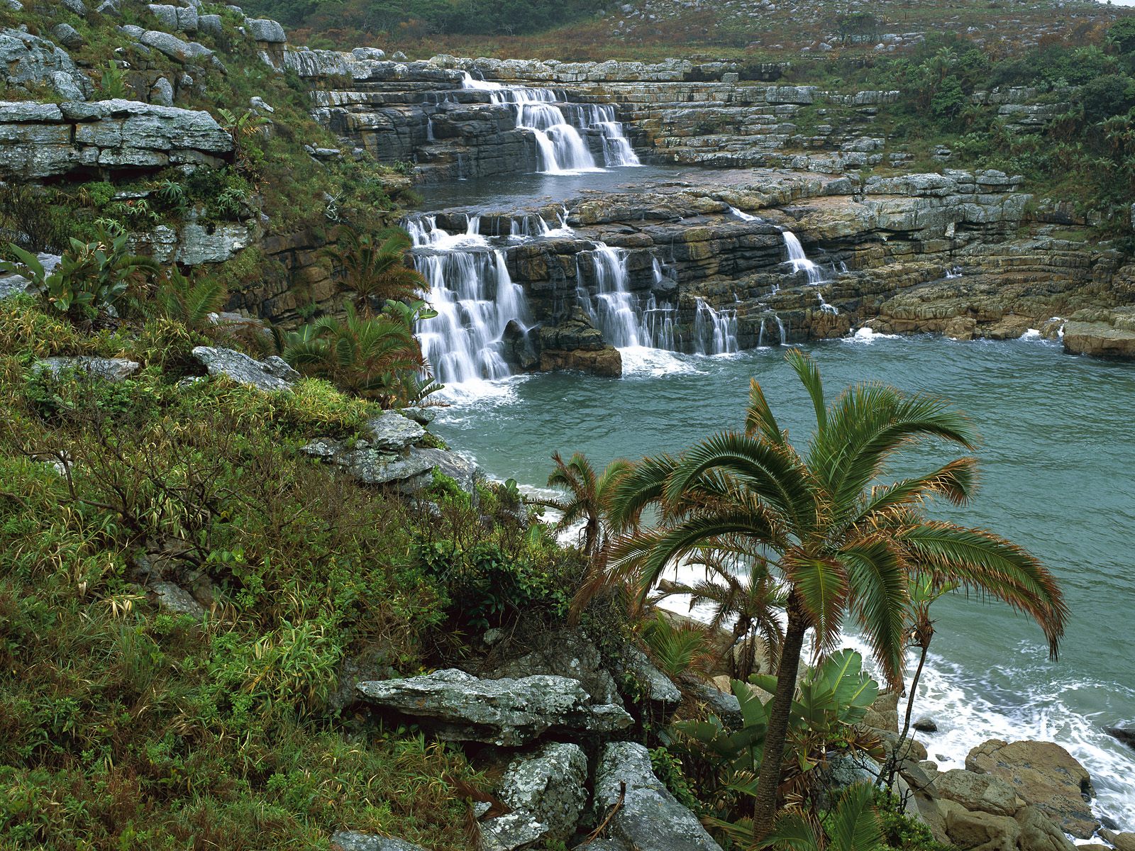 mkambati-nature-reserve--pondoland-coast--south-africa