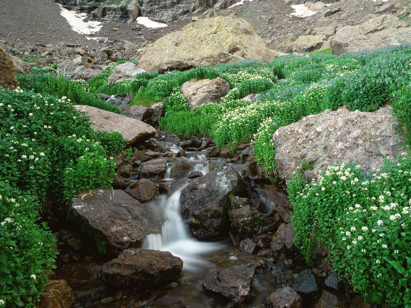 sangre-de-cristo-mountains--colorado