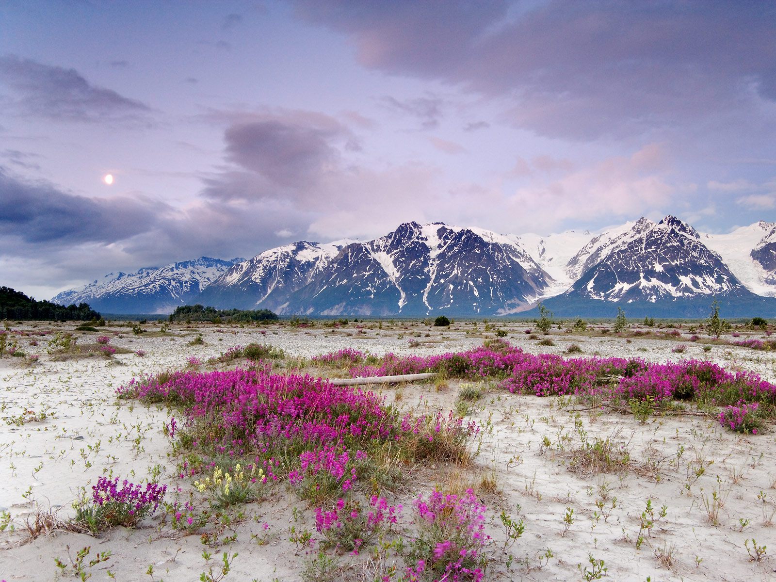 moonrise--st.-elias-mountains--alaska