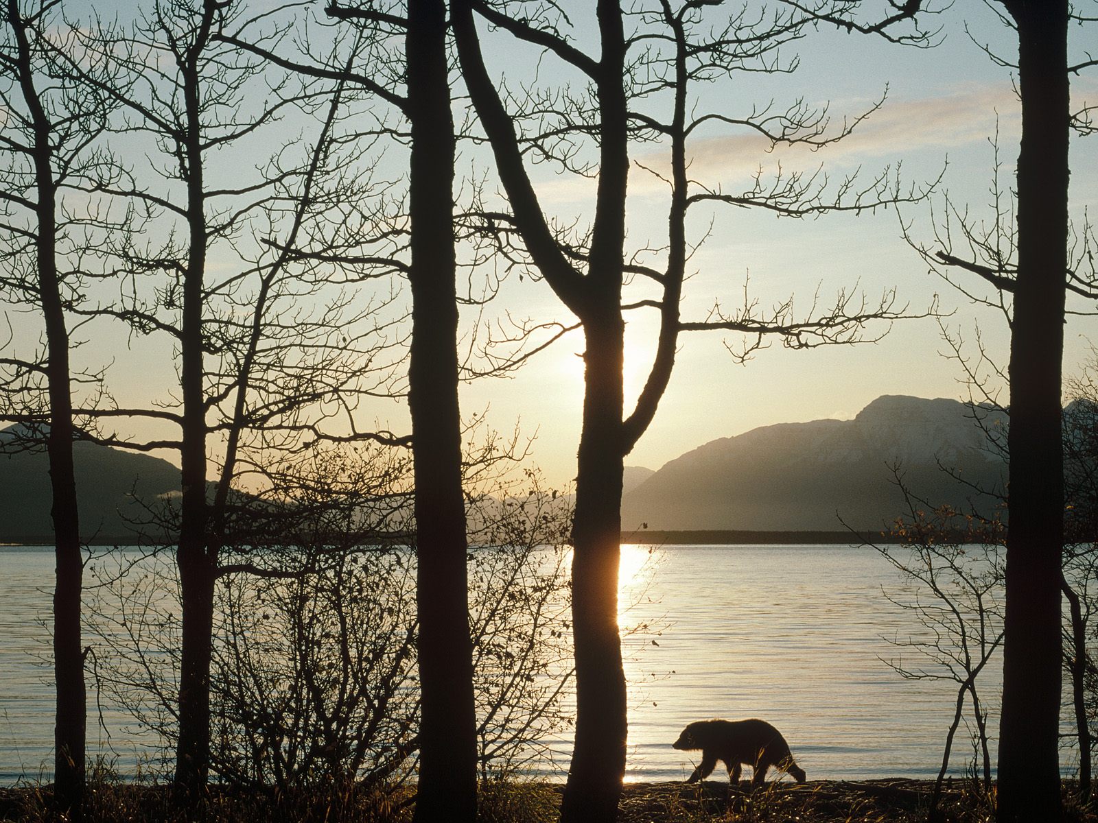 naknek-lake--katmai-national-park--alaska