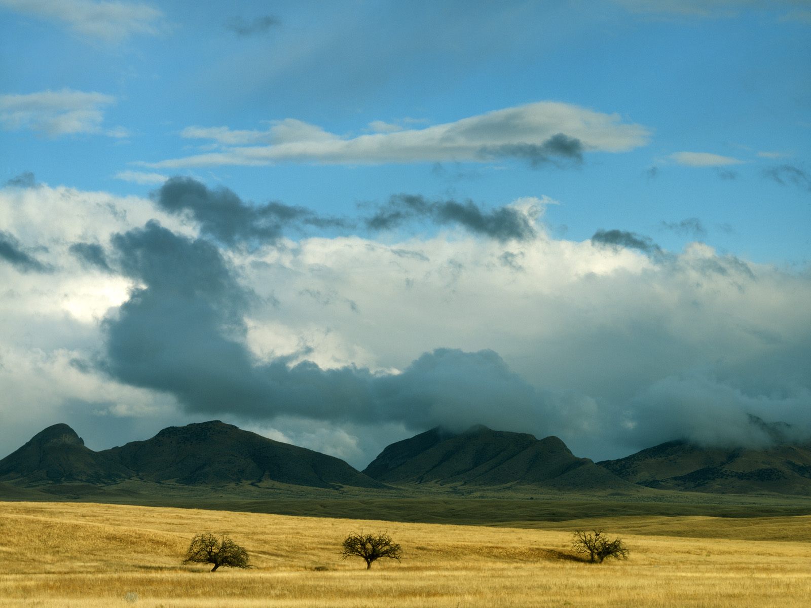 clearing-storm-clouds--coronado-national-forest--arizona