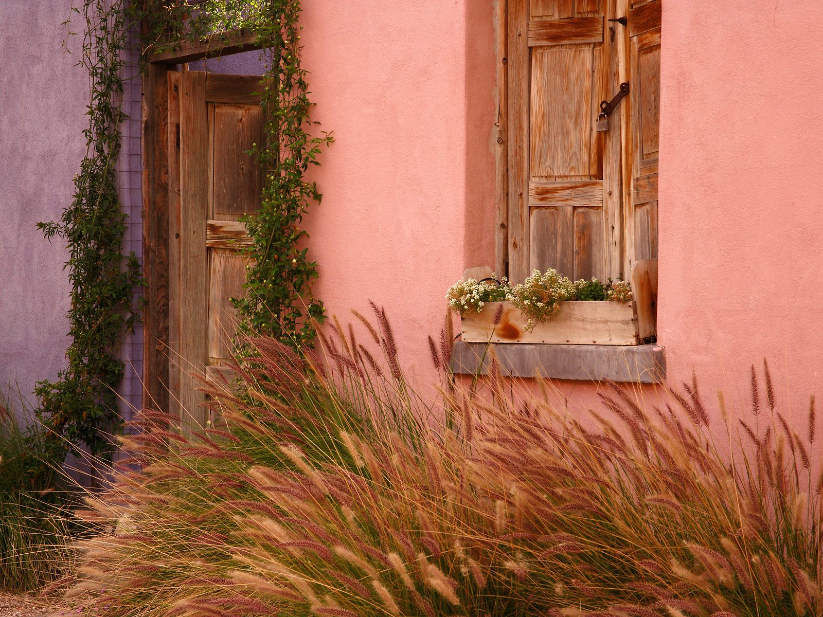 historic-adobe-home--tucson--arizona